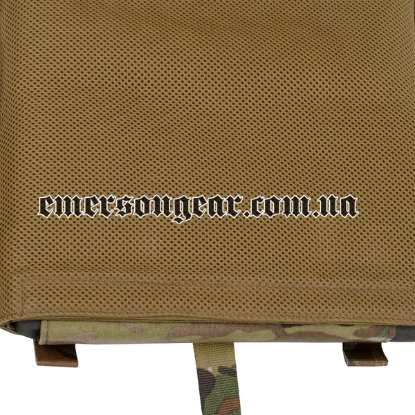 Плитоноска Emerson BlueLabel LAVC Assault Plate Carrier with ROC 2000000104843 фото